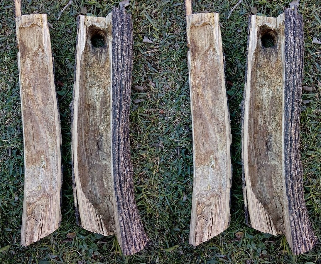 Mason bee tongue – Včelky samotářky